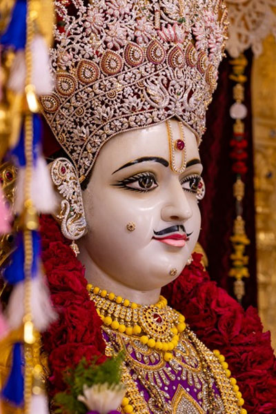 For Your Special Day!