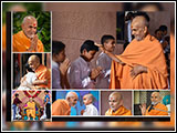 Why I Like Mahant Swami Maharaj