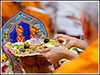Cooking for Bhagwan