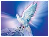 Pray For World Peace