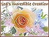 God&rsquo;s Incredible Creation